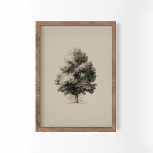 May include: A framed wall art print featuring a detailed charcoal-style illustration of a single deciduous tree with a full canopy. The artwork is centred on a light beige background and enclosed within a medium-toned brown wooden frame.