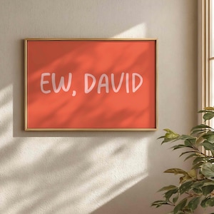 May include: A framed art print with the text "EW, DAVID" in white, set against a coral background. The frame is a thin, gold color. The artwork is displayed on a textured, off-white wall, with a glimpse of a window and greenery.