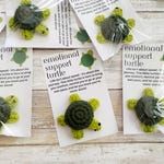 Turtle Accessories