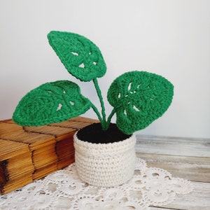 May include: A crocheted green monstera plant in a white crocheted pot. The plant is sitting on a white doily.