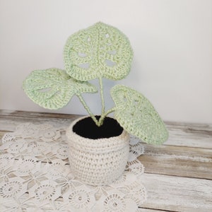 May include: A crocheted plant with three light green leaves in a white crocheted pot. The plant is sitting on a white crocheted doily.