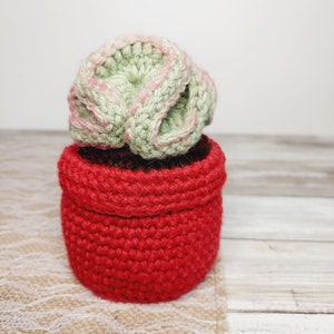 May include: A crocheted succulent plant in a red crocheted pot. The succulent is green with pink accents.