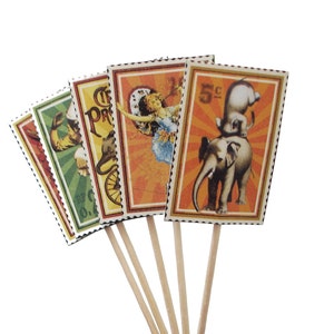 24 Le Cirque Wizards of Wonder Party Picks, Toothpicks, Cupcake Toppers, Food Picks, Sandwich Picks No960 image 5