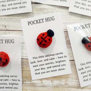 Ladybug Pocket Hug, Crochet Amigurumi Bug Plush, Handmade Comfort Toy With Encouragement Card, Cute Gift For Stress Relief & Support