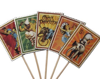 24 Le Cirque Wizards of Wonder Party Picks, Toothpicks, Cupcake Toppers, Food Picks, Sandwich Picks - No960