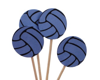 24 Bright Blue Volleyball Party Picks, Cupcake Toppers, Food Picks, Sandwich Picks, Toothpicks - No973