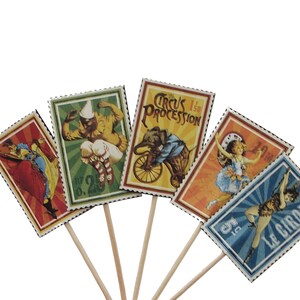 24 Le Cirque Wizards of Wonder Party Picks, Toothpicks, Cupcake Toppers, Food Picks, Sandwich Picks No960 image 4