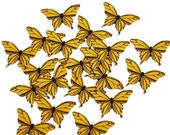Il_170x135