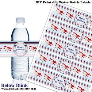 Airplane Happy Birthday Water Bottle Labels Printable, Airplane Birthday Party Decor, Time Flies Themed Party, Instant Download - DP730
