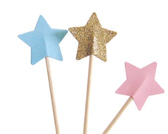 Twinkle Twinkle Little Star Cupcake Toppers, Gender Reveal Party, Wild One Birthday - No803