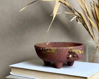 Horned Lizard Catch All Bowls - Special Edition