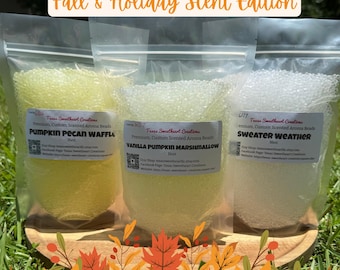Pre-Scented Aroma Beads Seasonal Scents | Long-Lasting, Premium Fragrance | Scent Beads for Freshies | 8 & 16 oz sizes - Freshie Supplies