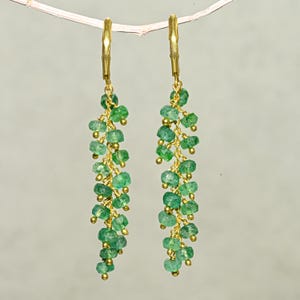 Può includere: Un paio di orecchini color oro con fili di piccole pietre preziose verdi. Gli orecchini sono sospesi a un ramo sottile e di colore chiaro. Le pietre preziose sono raggruppate, creando un effetto a cascata.