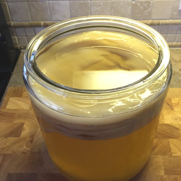 Organic Kombucha Scoby - LG 7 inch size - Make your own nourishing probiotic drink - Use your own organic ingredients to guarantee non GMO