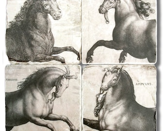 Equestrian Horses, Vintage Print Stone Coasters