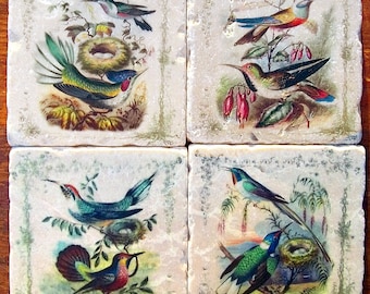 Coasters - Colorful Hummingbirds, Natural History, 1852