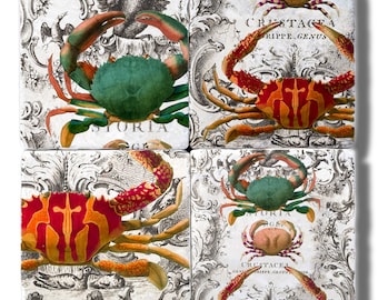 May include: Set of four square coasters featuring vintage illustrations of crabs with red, orange, and green details. The background is a white and gray pattern with the text "CRUSTACEA RIPPE. GENUS" and "STORIA G.G."
