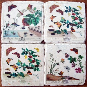Botanical Coasters, Garden, Botanical Study, 1849