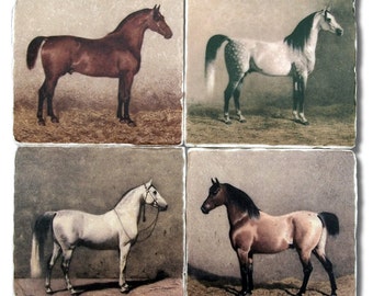Equestrian Horses Vintage Illustrations, Stone Coasters