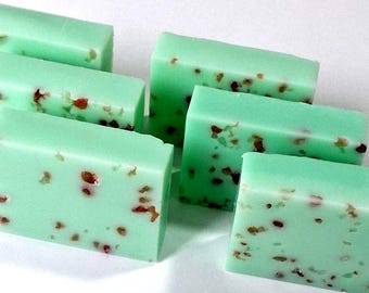 Saponetta al sale, profumo di pino, esfoliante naturale.