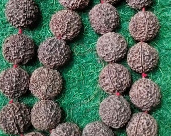5 Mukhi Rudraksha Kanthi Mala: 27+1 Beads, Power & Prosperity