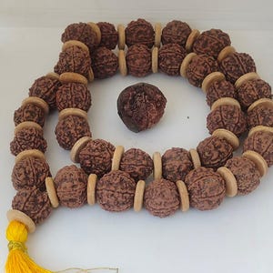May include: A strand of brown Rudraksha beads with light brown spacers and a single larger bead. A bright yellow tassel hangs from the end. The beads are arranged on a white surface.