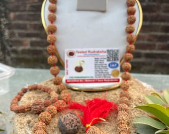 7 Mukhi Rudraksha Mala med armband: Lab Certified Lakshmi Beads
