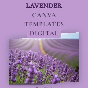 May include: A digital graphic with the text "LAVENDER CANVA TEMPLATES DIGITAL" over a photo of a lavender field. The image features rows of purple lavender plants under a bright sky. The brand's handle is displayed at the bottom.