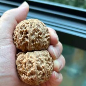 Worry Nuts for Anxiety, Natural Walnut Hand Therapy Balls, Stress Relief Fidget Toy, Meditation Mindfulness Tool, Unique Gift