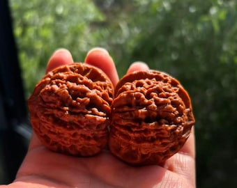 Stress Relief Hand Exercise Balls, Chinese Walnut Pair, Natural Fidget Toy for Adults, Relaxation Tool, Anxiety Relief Gift