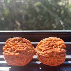 Natural Wenwan Walnut Pair, 38×37×41mm, Unique Symmetrically Tilted Tips, Untreated Chinese Puzzle Nuts/No.28