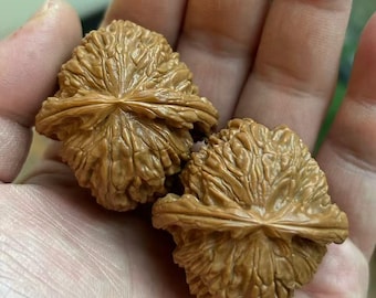Worry Nuts for Anxiety, Natural Walnut Hand Therapy Balls, Stress Relief Fidget Toy, Meditation Mindfulness Tool, Unique Gift