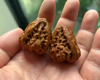 Palline antistress Wenwan in noce per la terapia manuale, giocattolo antistress, strumento di meditazione, regalo unico