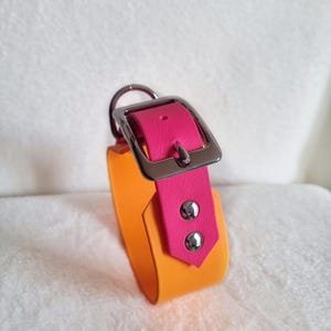 biothane collar