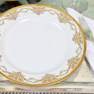 Pair of Haviland Limoges Plates, Bourgeois of Paris, Gold Garland Pattern, Encrusted Porcelain Plates, 9-5/8&quot;, c1890s, Vintage China Plates