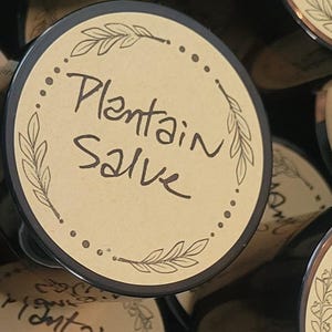 Plantain Salve