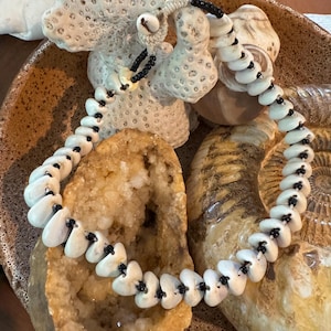 May include: A necklace featuring a series of off-white, heart-shaped shell beads strung together with small black glass beads. The strand is secured with a knotted cord closure that includes a single small white shell bead at the center.