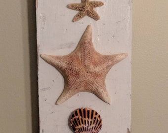 Shell Cottage Vintage Beach Wall Art Starfish Scallop Seashell Collection On Original Painted  Architectural Salvage Browns Orange Tan Cream