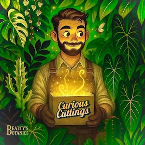Curious Cuttings — Propagation Ready Mystery Bundle