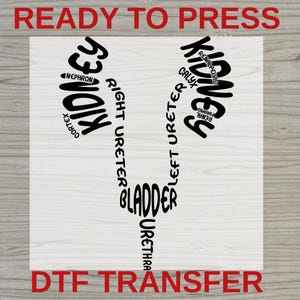 May include: A DTF transfer featuring a stylized diagram of the human urinary system. The design includes the kidneys, ureters, bladder, and urethra, with anatomical labels in black. The words "READY TO PRESS" and "DTF TRANSFER" are in red.