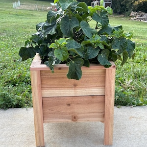 Cedar Planter