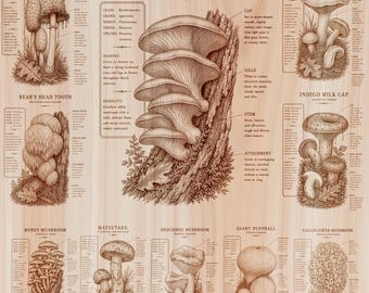 10 Mushroom Wood Sign PNG Files | Fungi Laser Engraving Bundle | Botanical Mycology Wall Art