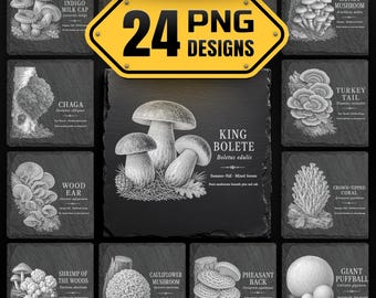 Mushroom Slate Coaster Bundle | North American Fungi Laser Engraving PNG Files | Mycology Art, Botanical Coasters