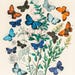 Samantha Price