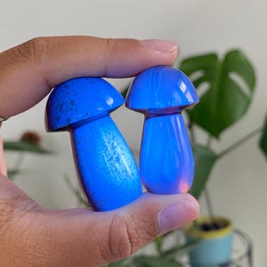 May include: Two blue mushroom-shaped figurines. The figurines have a rounded cap and a stem. The color is a vibrant blue with some lighter blue marbling. The background is a blurred view of a plant.