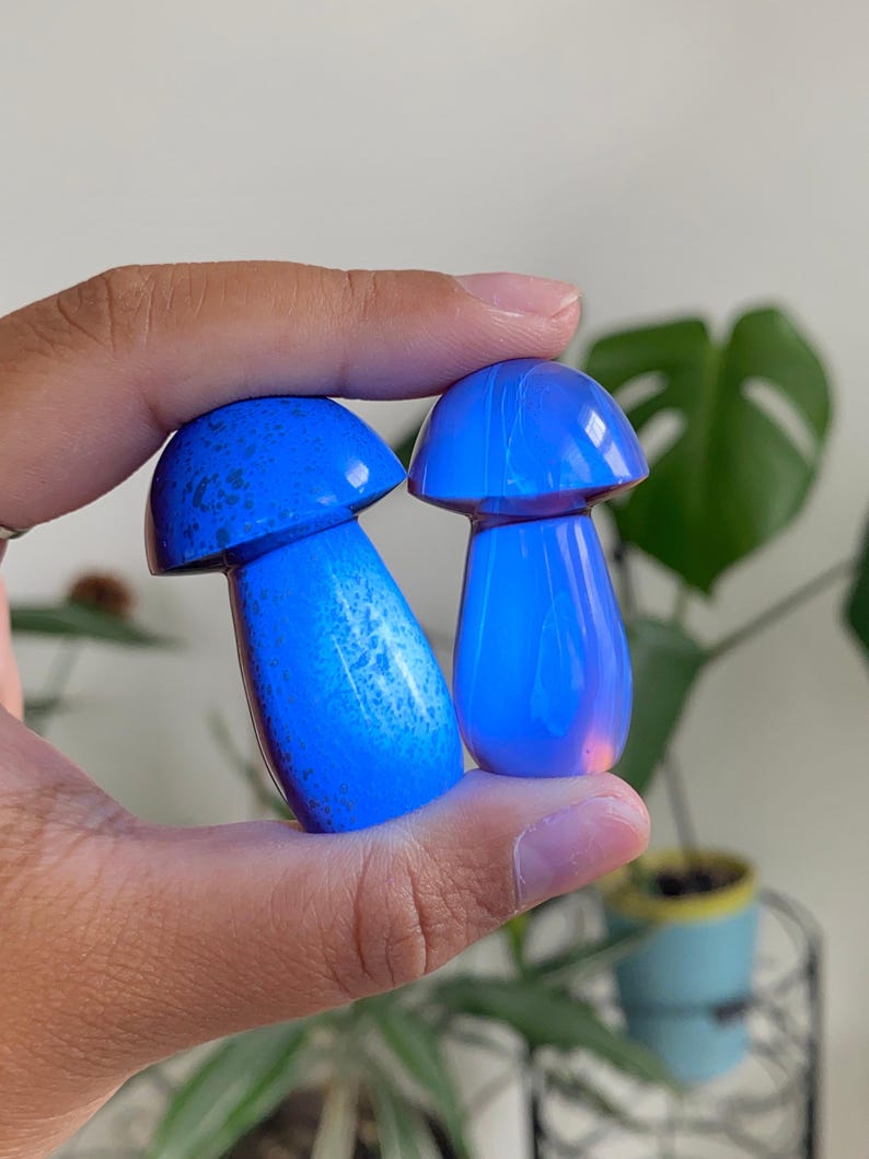 May include: Two blue mushroom-shaped figurines. The figurines have a rounded cap and a stem. The color is a vibrant blue with some lighter blue marbling. The background is a blurred view of a plant.