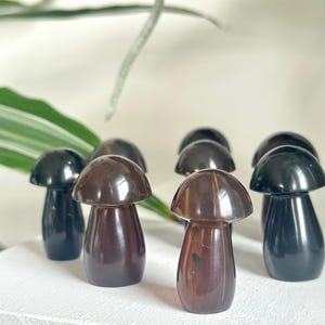 May include: A collection of small, polished mushroom figurines in varying shades of brown and black. The mushroom caps are rounded, and the stems are cylindrical. The figurines are arranged on a white surface, with green foliage in the background.