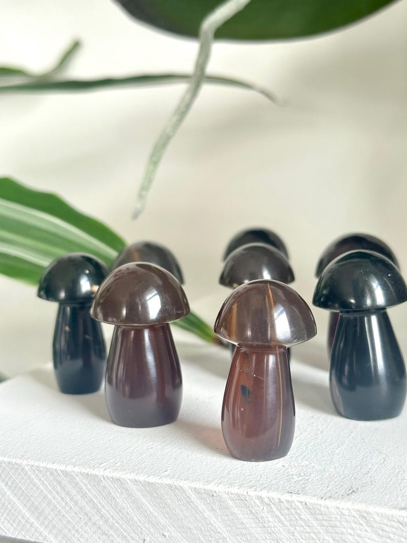 May include: A collection of small, polished mushroom figurines in varying shades of brown and black. The mushroom caps are rounded, and the stems are cylindrical. The figurines are arranged on a white surface, with green foliage in the background.