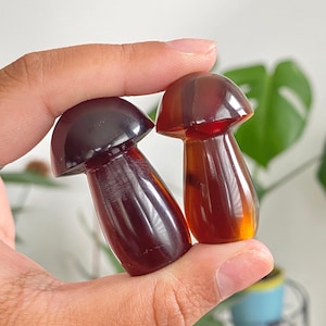 May include: Two small, mushroom-shaped objects with a glossy finish. One is a deep, dark brown, and the other is a lighter amber color. The objects have a smooth, rounded cap and a slender stem. They are held in a person's hand.