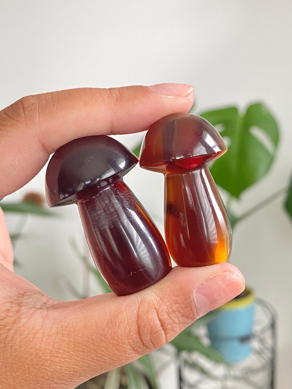 Indonesian UV Reactive Amber Mushroom Carvings for Ancient Energy, Transformation, and Whimsy, Gemstone, Rocks and Minerals, Crystal Carving
